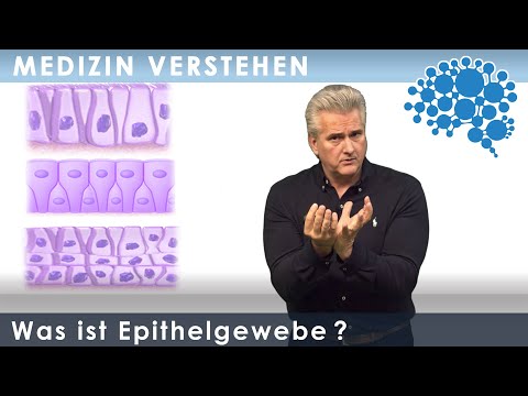 Video: Für Epithelien bedeutet der Begriff einfach?