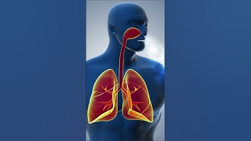 This Is What Garlic Water Does For Your Health