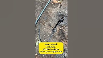 Cách làm hệ thống tưới cây cà phê bằng béc G5 cải tiến và ống nhánh LDPE 25mm tưới đồi dốc