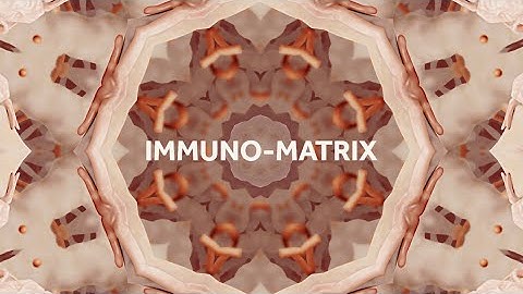 Immuno-matrix Branch Introduction