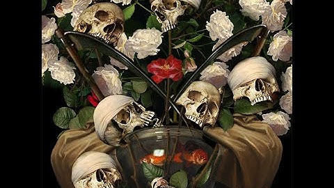 A Growing Scarcity of Expectation // Destroy//Exist Compilation Trailer