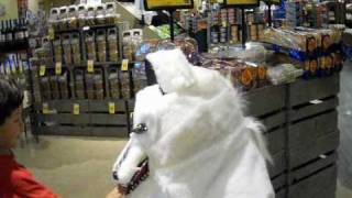Wolf Akyo Quadsuit Goes To The Store