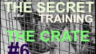 Crate Training Stability Confinement Pen Cage Car For Puppy Pitbull Dog Anxiety Stable