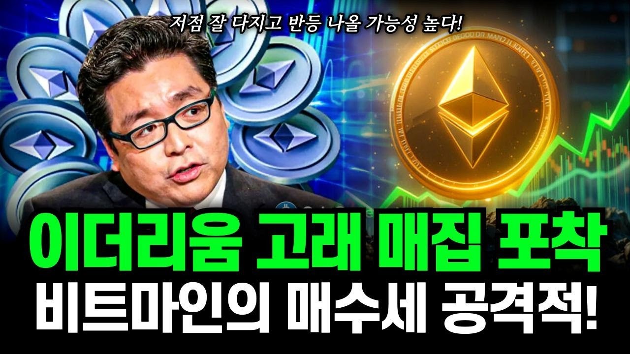 이더리움 고래 매집 포착! 비트마인의 공격적인 매수세가 가져올 급등 가능성! #이더리움 - YouTube