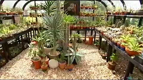 Jeff Pavlat succulent garden design: Central Texas...
