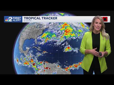 Allyson Rae 10/10/2024 WBBH NBC2 - YouTube