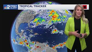 Allyson Rae 10102024 Wbbh Nbc2