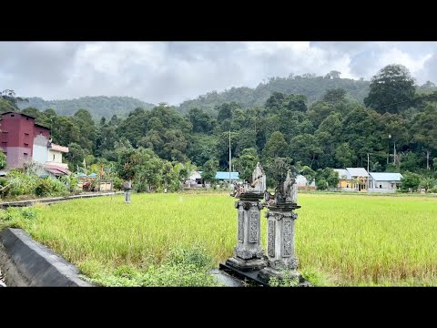 SEORANG PERANTAU BALI SEDANG MASAK MASAKAN SEDERHANA DI PONDOK DI HUTAN KALIMANTAN BARAT #shorts