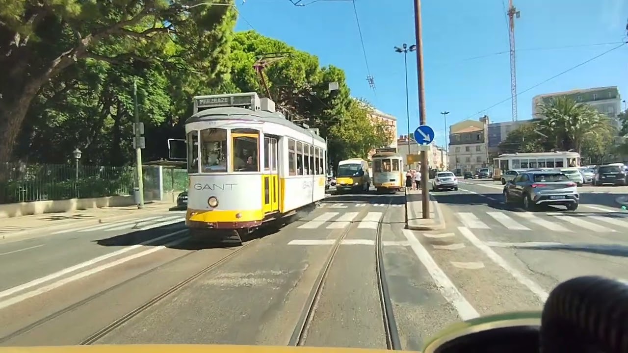 773 Alcântara terra - Rato