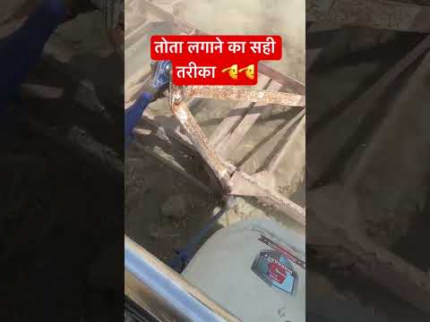 तोता लगाने का सही तरीका 🫡🫡