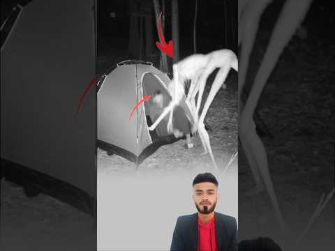 ارتجف قلبي قبل يدي حين أقسمت أن ما رأيته لم يكن من هذا العالم اكسبلور لايك  