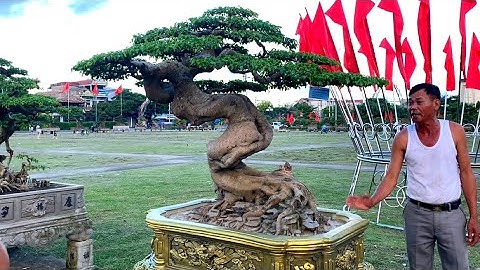 Gặp Gỡ Chủ Nhân Của Tác Phẩm RỒNG NGỌC SANH Dưới 2 Tỷ Không Bán