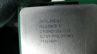 Famous Processor Intel Celeron D SL7Q9 Profile