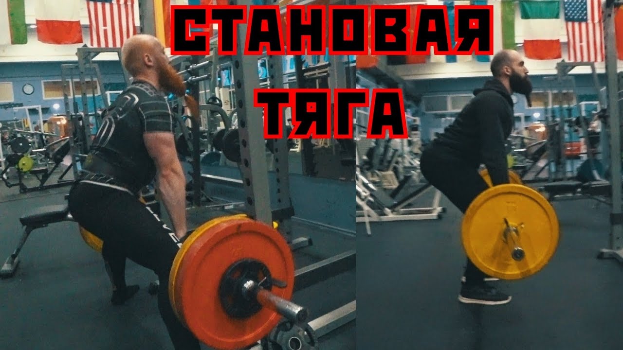 Становая тяга. Нужна или нет? Полный разбор