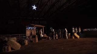 MIRO Live Nativity 2016