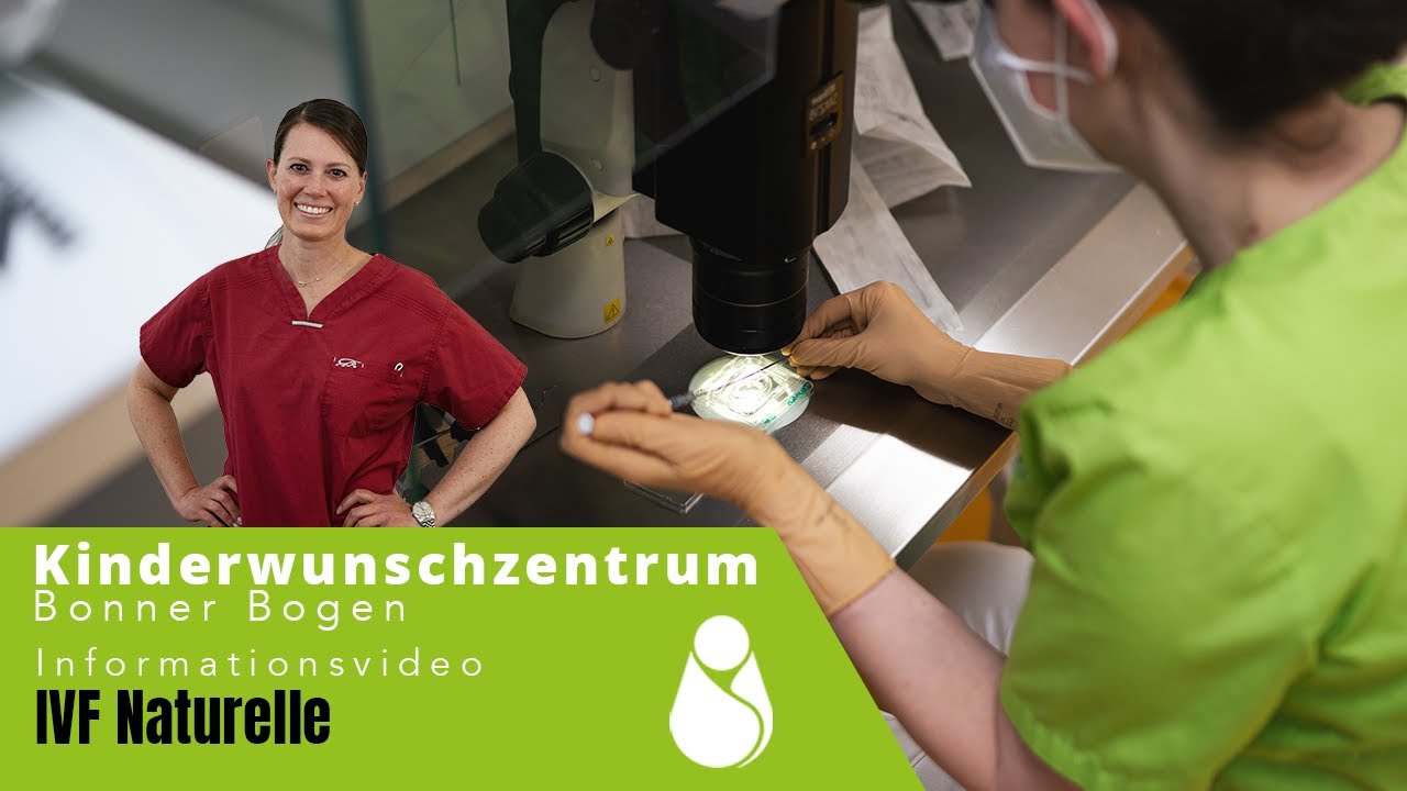 magnolien künstlich Magnolienzweig (künstlich) – Blütenharmonie Jana Szabo main image 0