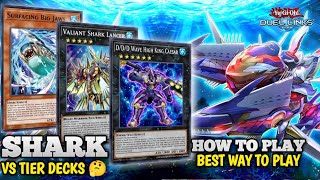 [SHARK] VS TIER DECKS 🔥Best Way To Play 🔥( Combo Guide & Replays) IN YU-GI-OH DUEL LINKS.