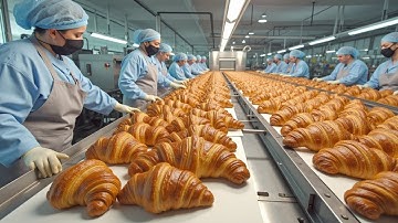 How 400,000 Butter-Laminated Croissants Are Made Every Day in a Fully Automated Factory 🥐