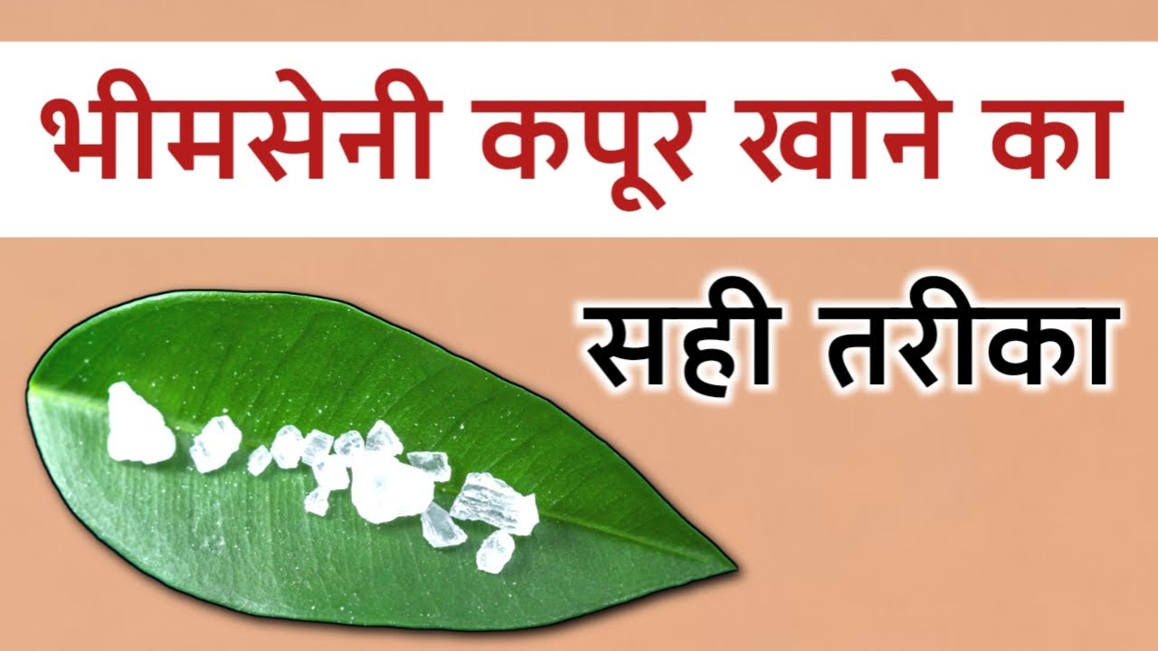 भीमसेनी कपूर खाने का सही तरीका | कितनी मात्रा लेनी है? | Safe Limit क्या है? | किसे नहीं खाना है?