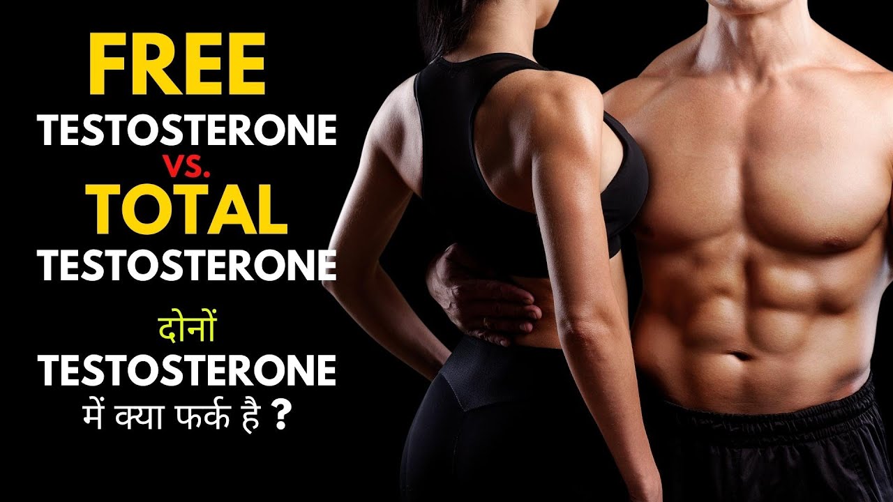 What Is The Difference Between Free Testosterone And Total Testosterone Free Testosterone vs. Total Testosterone | दोनों testosterone में क्या