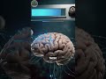 How Does AI Like ChatGPT Actually Learn? (Mind-Blowing Explanation!)
