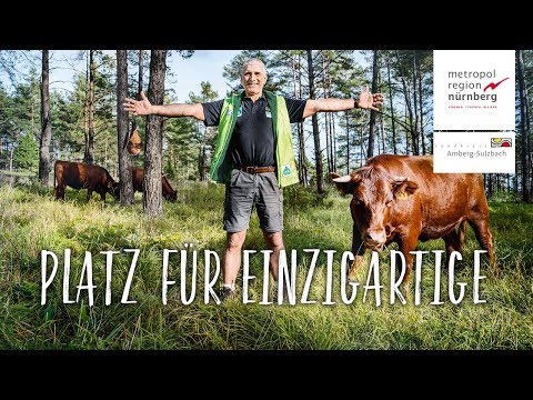 metropolregion-nürnberg:-platz-für-einzigartige-in-amberg-sulzbach