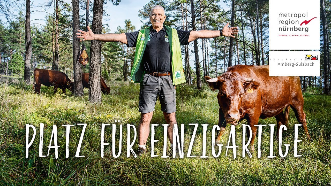 Metropolregion Nürnberg: Platz für Einzigartige in Amberg-Sulzbach