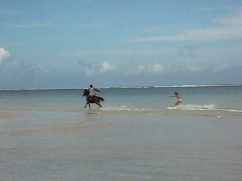 Wake boarding behind a horse in Fiji