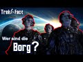 Die BORG - eine PSEUDOSPEZIES mit dem Ziel der PERFEKTION :|: Star Trek Fakten