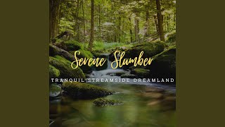 Soothing Streamside Sleep Whispers
