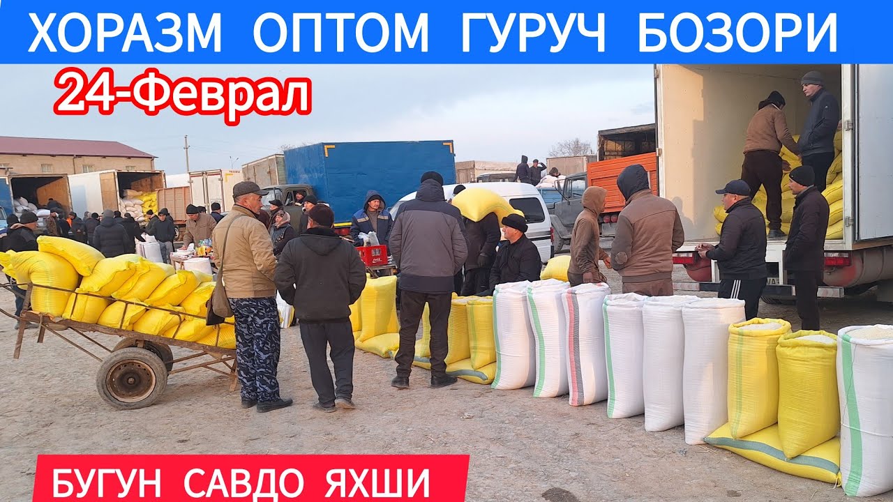 БУГУН САВДО АВЖИДА ХОРАЗМ ОПТОМ ГУРУЧ БОЗОР ЯНГИ НАРХИ 24-ФЕВРАЛ 2026-ЙИЛ !!! ХОРАЗМ ОБЗОР 