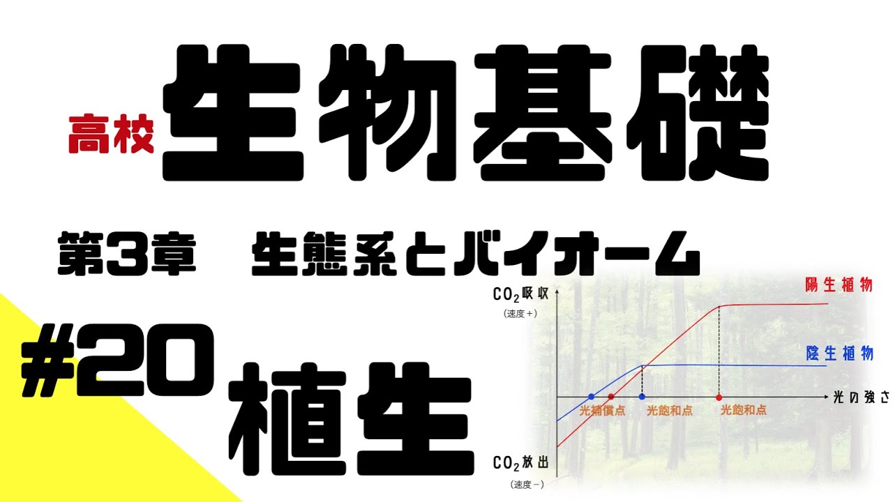 【生物基礎】#20 植生  / 演習つき