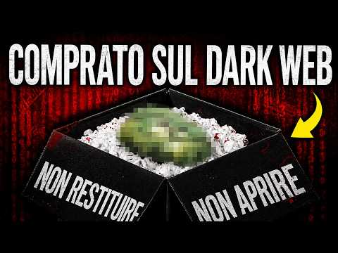 Sottobosco: Deep Dive into the Dark Web