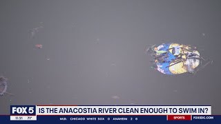 Anacostia River opens to swimmers