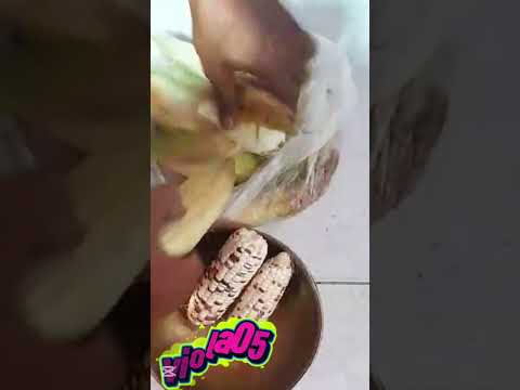 #shortvideo #multicolor #corn #satisfying