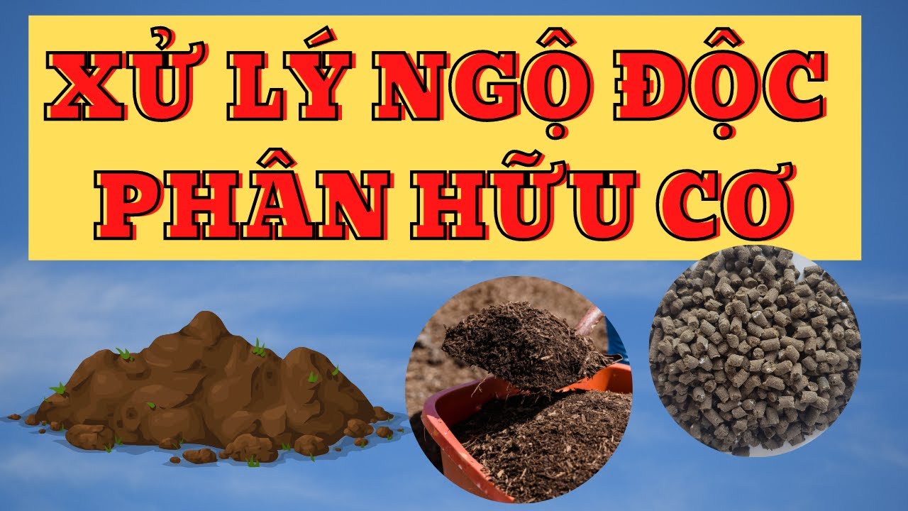 Ngộ độc phân hữu cơ | Các bước xử lý ngộ độc hữu cơ | Các tình huống thường gặp trong canh tác