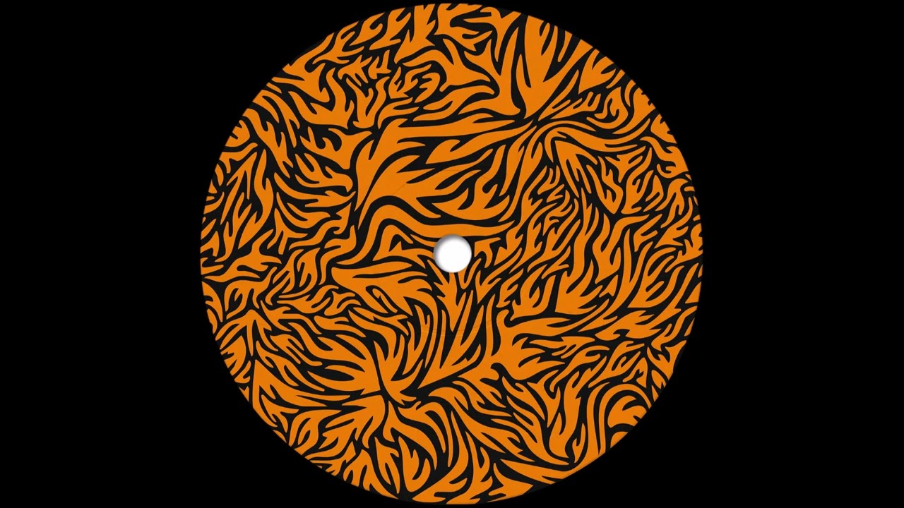 Roman Flügel - Sensitive Contacts [PHONICA040]