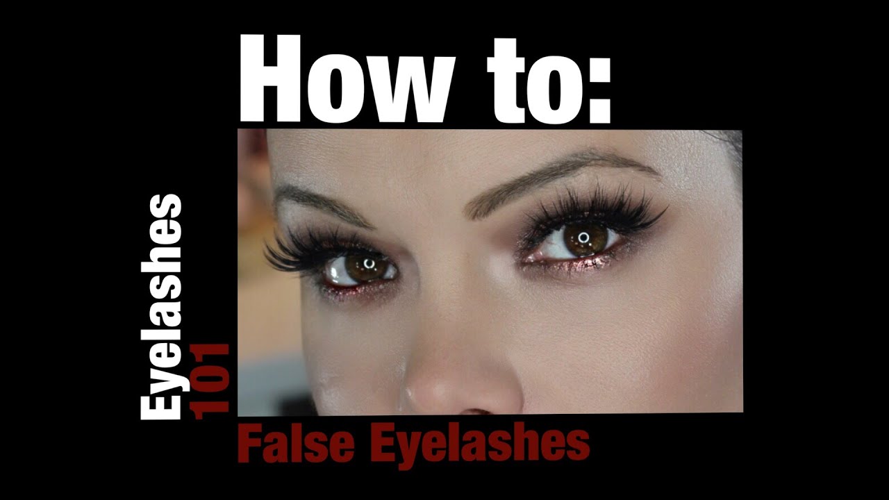 Eyelashes 101 | A Comprehensive Guide to Falsies