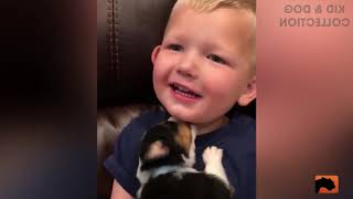TOP 100 Funny Baby And Puppy Dogs Playing Together - Cute Baby Videos