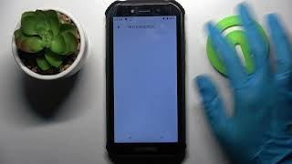 How to Turn On / Off Auto Correction on DOOGEE S40 screenshot 4