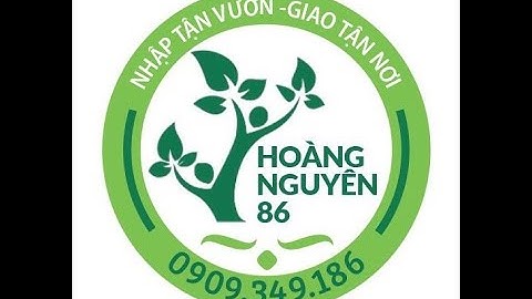 NPP Hoàng Nguyên 86 Đến Tận Vườn Xoài Cát Cần Giờ Để Tham Quan Và Thu Mua Loại Xoài Cát Ngon Nhất.