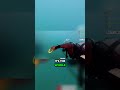 Tank Falling Off Mid-Dive