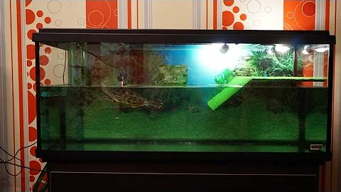 Чистка нашего аквариума, подмена воды!
