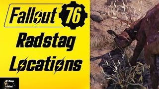 Fallout 76 Radstag Locations
