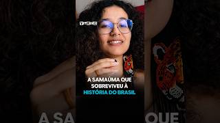 #Shorts | O que a Samaúma tem para nos contar? | #Vitrine @TVCultura