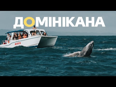 Видео: ДОМІНІКАНА | Горбаті кити і дикі пляжі. Подорож з минулого життя