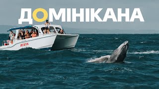 ДОМІНІКАНА | Горбаті кити і дикі пляжі. Подорож з минулого життя