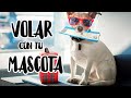 Cómo viajar con tu mascota en Avión con LATAM