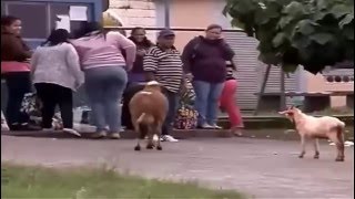 Download Lagu attacke in roade--- besesa net 2016 MP3