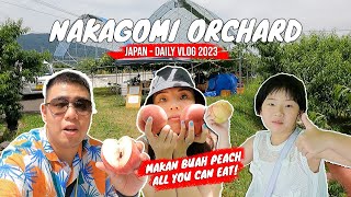 Petik Buah Peach di Jepang, All You Can Eat! Cuman 2 Jam dari Tokyo!